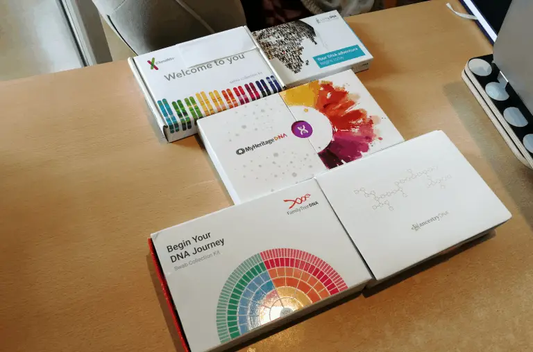 Best DNA Test Kits Results Revealed, Compared & Explained