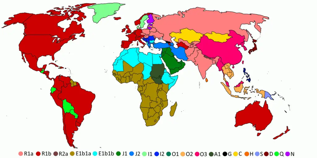 world-haplogroup