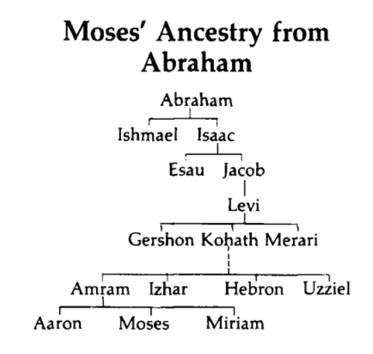 Moses Family Tree