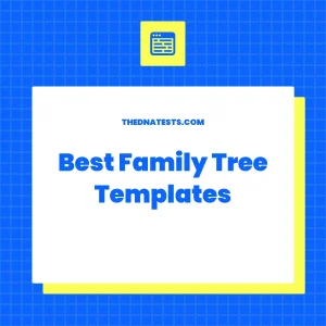 Best Family Tree Templates