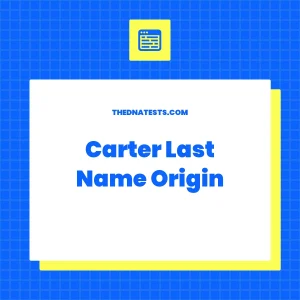 Carter Last Name Origin – Meaning, History and Popularity