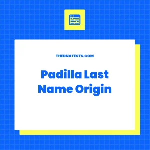 Padilla Last Name Origin – Meaning, History and Popularity