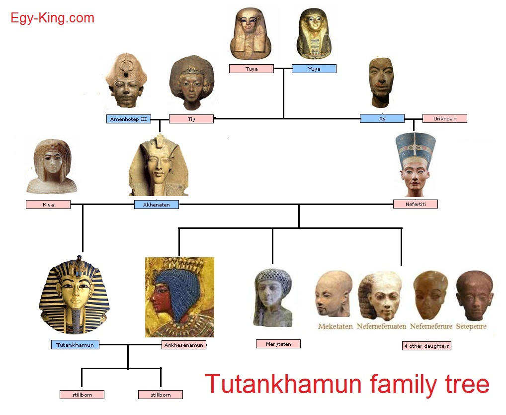 King Tut family tree
