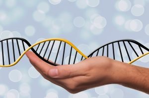 How much is a DNA test in California?