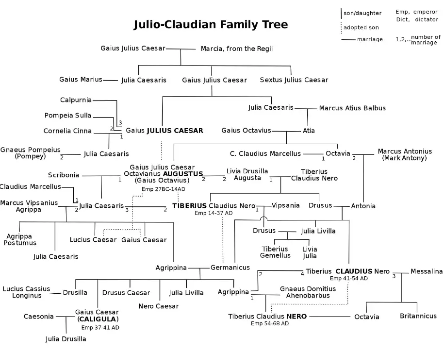 Julio Claudian Family Tree