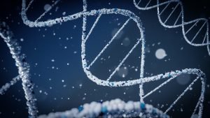 What does excluded mean on a DNA test?