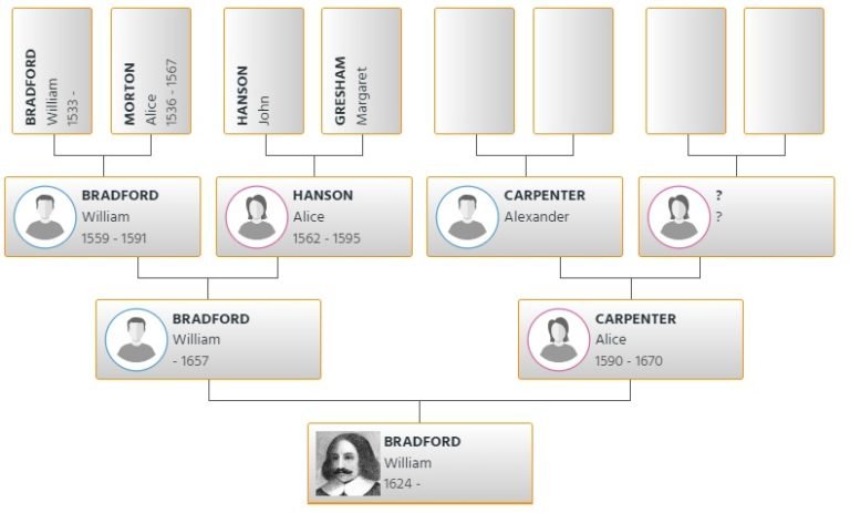 William Bradford Family Tree