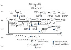 Exploring the Blue Fugates Family Tree: Tracing the Roots of a Unique ...