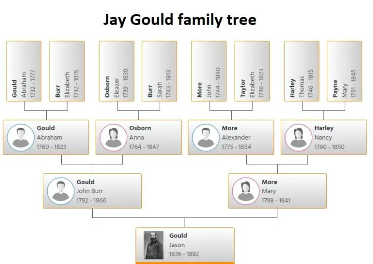 Jay Gould Family Tree