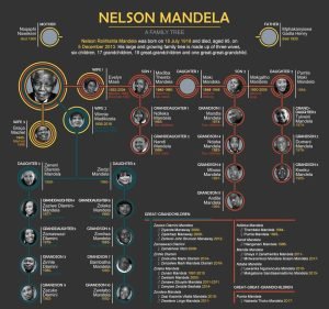 Nelson Mandela Family Tree
