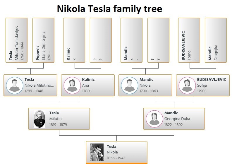 nikola tesla family tree