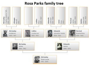 Rosa Parks Family Tree