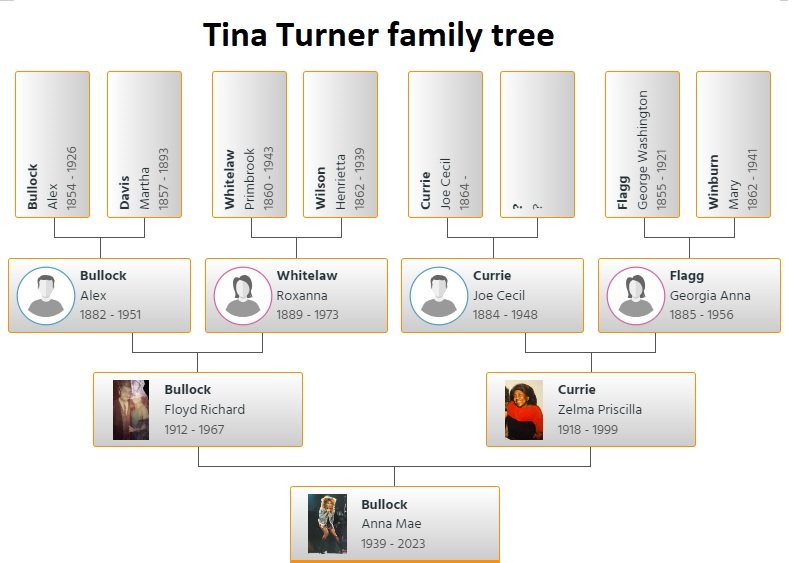 tina turner family tree